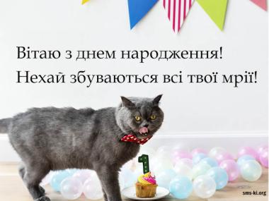 З днем народження картинка з котом